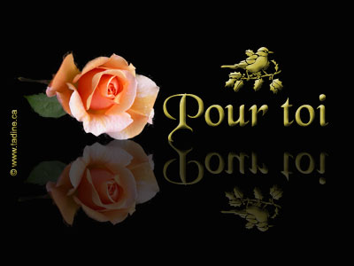 JE T'AIME