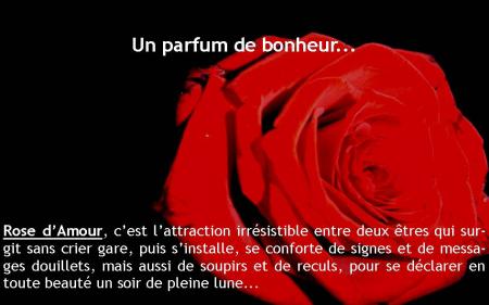 bonheur